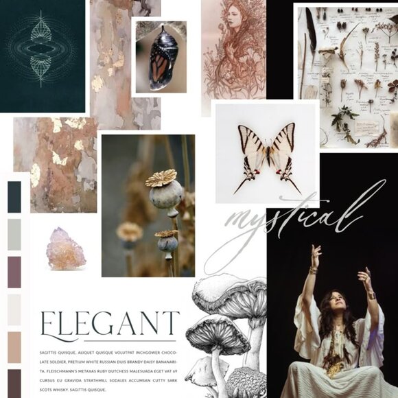 Meet your Posher, Ali - Picture 1 of 1